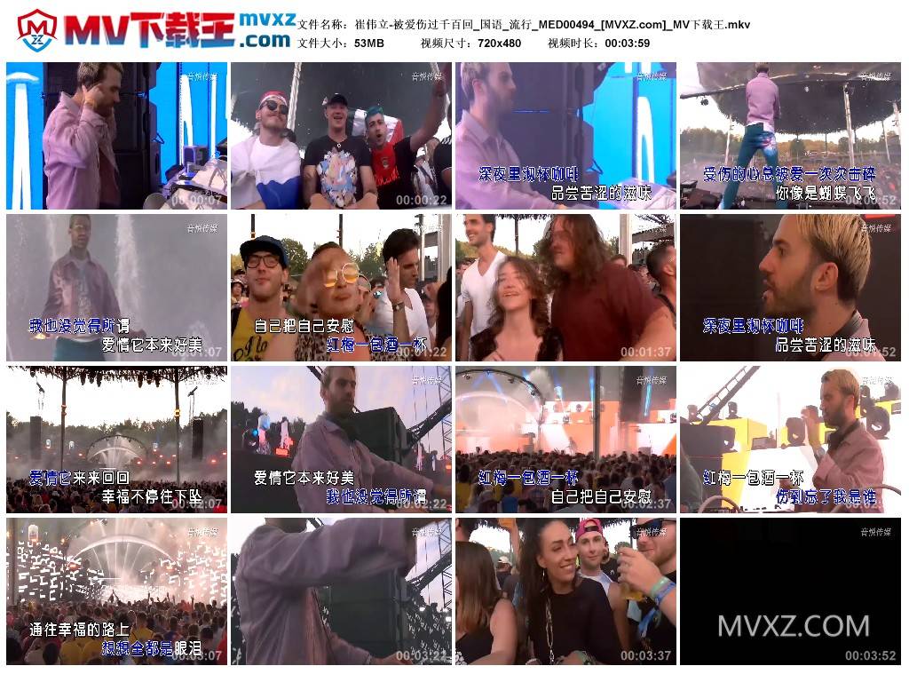 崔伟立-被爱伤过千百回_国语_流行_MED00494